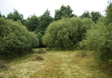 Ecologisch maaibeheer De Bloemert Midlaren - Foto 1