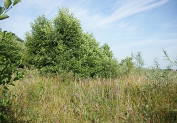 Oeverbeheer natuurgebied De Oosterpolder - Foto 1