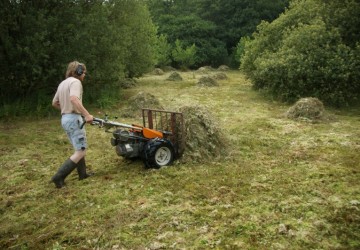 Ecologisch maaibeheer De Bloemert Midlaren - Foto 3