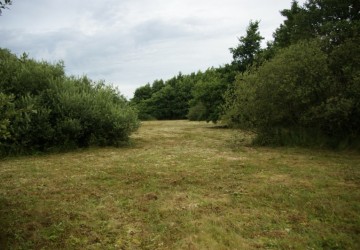 Ecologisch maaibeheer De Bloemert Midlaren - Foto 5