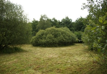 Ecologisch maaibeheer De Bloemert Midlaren - Foto 6