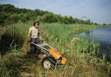 Oeverbeheer natuurgebied De Oosterpolder - Foto 6