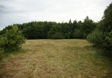 Ecologisch maaibeheer De Bloemert Midlaren - Foto 7