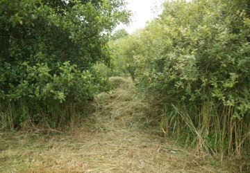 Ecologisch maaibeheer De Bloemert Midlaren - Foto 8