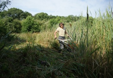 Oeverbeheer natuurgebied De Oosterpolder - Foto 8