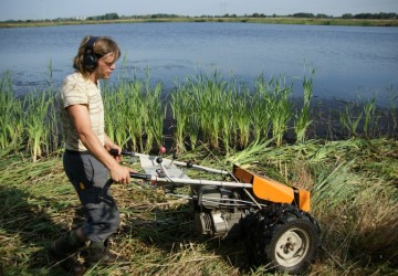 Oeverbeheer natuurgebied De Oosterpolder - Foto 9