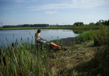 Oeverbeheer natuurgebied De Oosterpolder - Foto 10