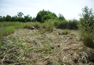 Oeverbeheer natuurgebied De Oosterpolder - Foto 13