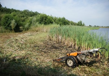 Oeverbeheer natuurgebied De Oosterpolder - Foto 14