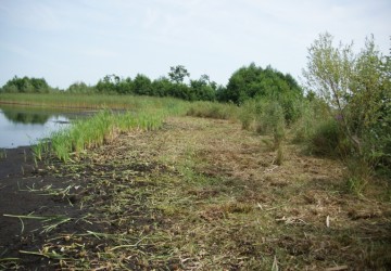 Oeverbeheer natuurgebied De Oosterpolder - Foto 17