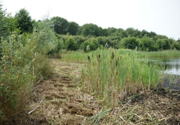 Oeverbeheer natuurgebied De Oosterpolder - Foto 18