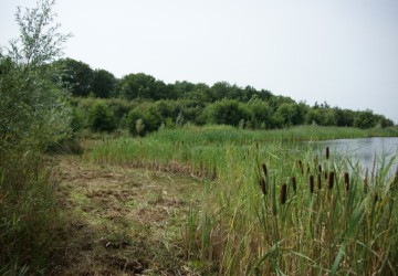 Oeverbeheer natuurgebied De Oosterpolder - Foto 21