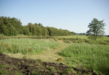 Maaibeheer De Harener Wildernis - Foto 1