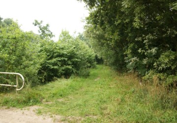 Bomenkap Ennemaborg Midwolda - Foto 1