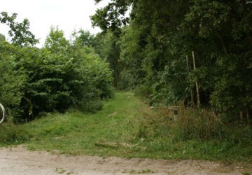 Bomenkap Ennemaborg Midwolda - Foto 3