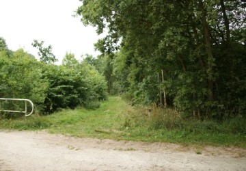 Bomenkap Ennemaborg Midwolda - Foto 5