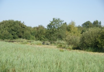 Maaibeheer De Harener Wildernis - Foto 5