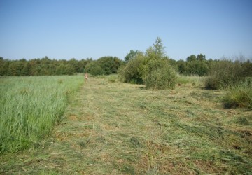 Maaibeheer De Harener Wildernis - Foto 6