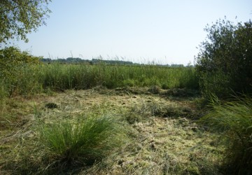 Maaibeheer De Harener Wildernis - Foto 7