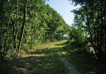 Bomenkap Ennemaborg Midwolda - Foto 7