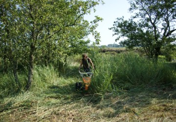 Maaibeheer De Harener Wildernis - Foto 10