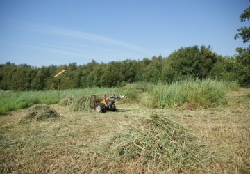 Maaibeheer De Harener Wildernis - Foto 11