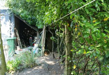 Kastanjepalen erfafscheiding Drachten - Foto 4