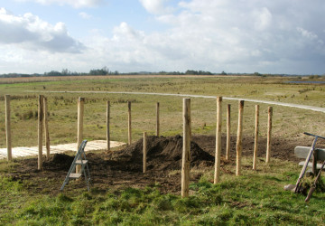 In memoriam: aanplanten treurberk Wolfsbarge - Foto 1