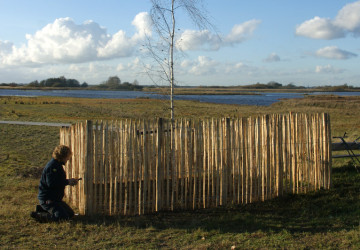 In memoriam: aanplanten treurberk Wolfsbarge - Foto 5