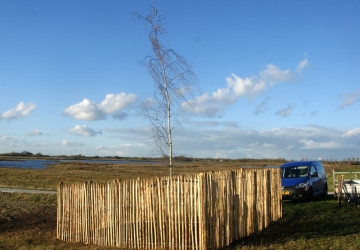 In memoriam: aanplanten treurberk Wolfsbarge - Foto 6