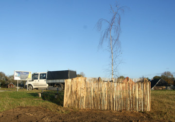In memoriam: aanplanten treurberk Wolfsbarge - Foto 7