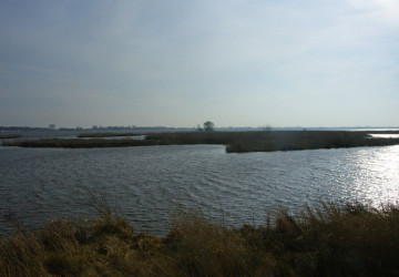 Wintermaaiwerk De Luizenbult, Zuidlaardermeer - Foto 1
