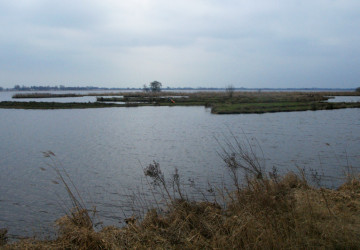 Wintermaaiwerk De Luizenbult, Zuidlaardermeer - Foto 3