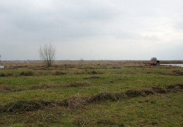 Wintermaaiwerk De Luizenbult, Zuidlaardermeer - Foto 4
