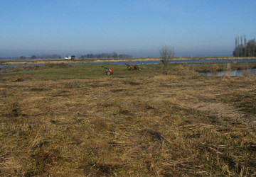 Wintermaaiwerk De Luizenbult, Zuidlaardermeer - Foto 7