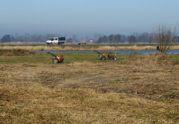 Wintermaaiwerk De Luizenbult, Zuidlaardermeer - Foto 8