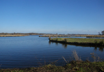 Wintermaaiwerk De Luizenbult, Zuidlaardermeer - Foto 9