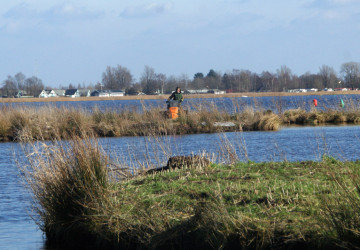 Wintermaaiwerk De Luizenbult, Zuidlaardermeer - Foto 10