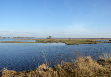 Wintermaaiwerk De Luizenbult, Zuidlaardermeer - Foto 12