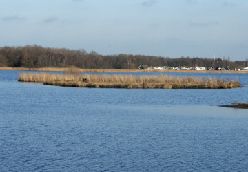 Wintermaaiwerk De Luizenbult, Zuidlaardermeer - Foto 13
