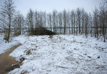 Vrijzetten galigaan, Oosterpolder Haren - Foto 9