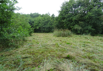 Vrijzetten galigaan, Oosterpolder Haren - Foto 14