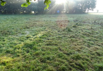 Herstellen poel Marum met nieuw toekomstplan - Foto 1