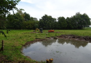 Herstellen poel Marum met nieuw toekomstplan - Foto 8