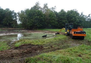 Herstellen poel Marum met nieuw toekomstplan - Foto 10