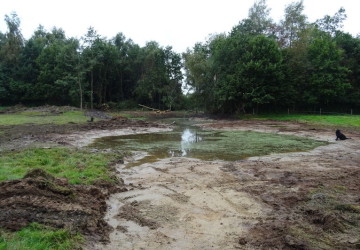 Herstellen poel Marum met nieuw toekomstplan - Foto 12