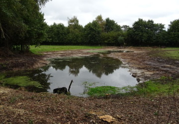 Herstellen poel Marum met nieuw toekomstplan - Foto 13