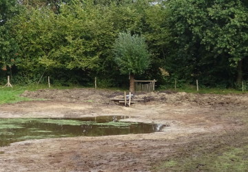 Herstellen poel Marum met nieuw toekomstplan - Foto 14