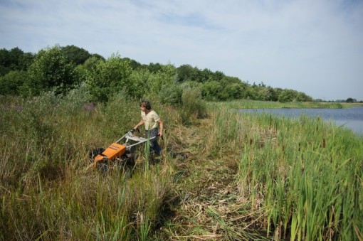 Oeverbeheer natuurgebied De Oosterpolder