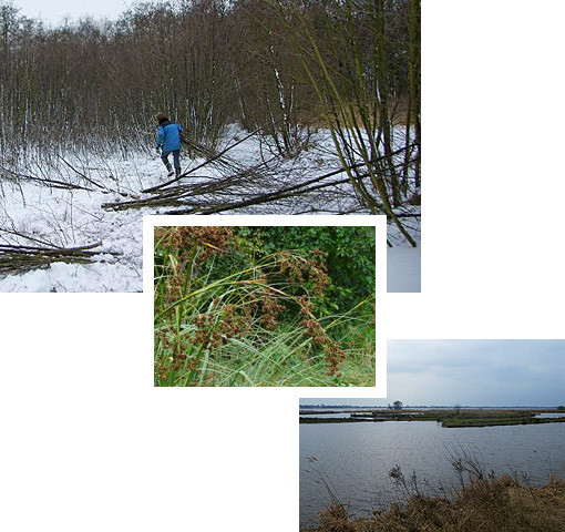 ecologisch-natuurbeheer-maaien